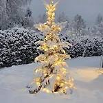 Arctic Circle Aurora Rovaniemi