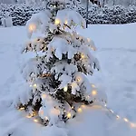 Arctic Circle Aurora *