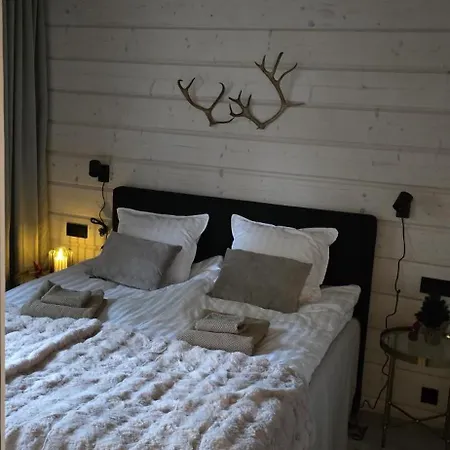 Arctic Circle Aurora * Rovaniemi