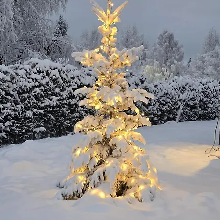 Arctic Circle Aurora Rovaniemi