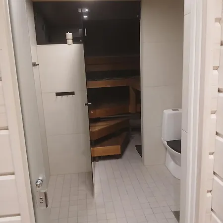 Arctic Circle Aurora * Rovaniemi