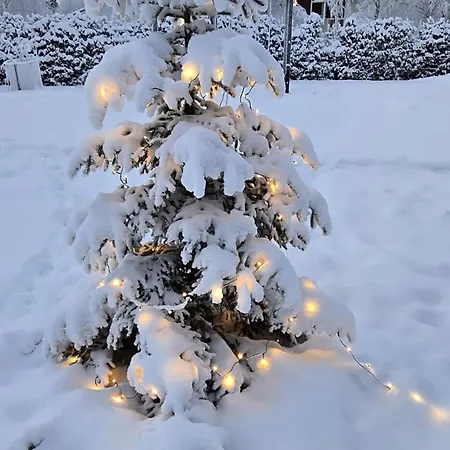 Arctic Circle Aurora *