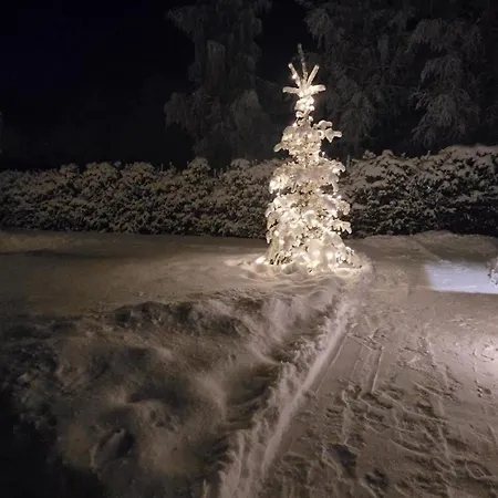 Arctic Circle Aurora アパート