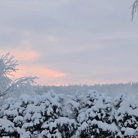 Arctic Circle Aurora * ロヴァニエミ