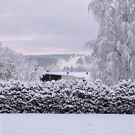 Arctic Circle Aurora