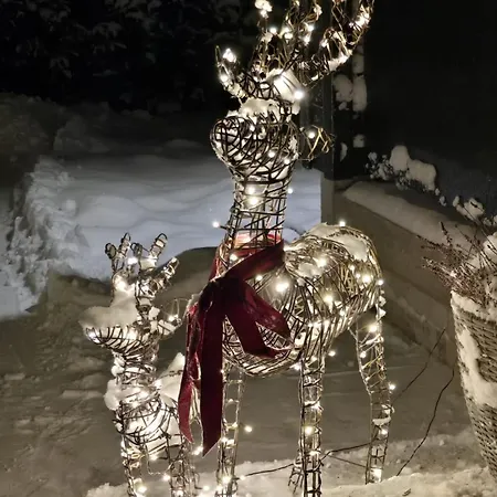 Arctic Circle Aurora アパート *