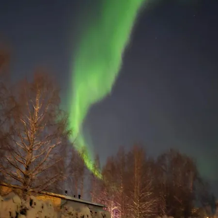 Arctic Circle Aurora