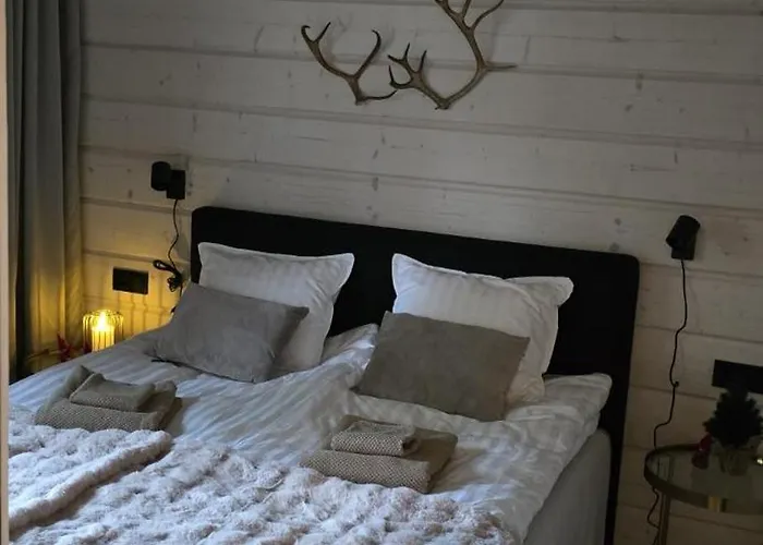 Arctic Circle Aurora * Ροβανιέμι