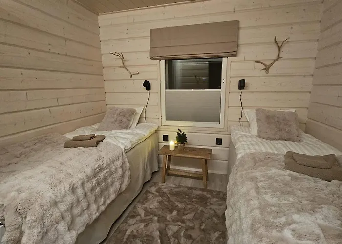 Arctic Circle Aurora