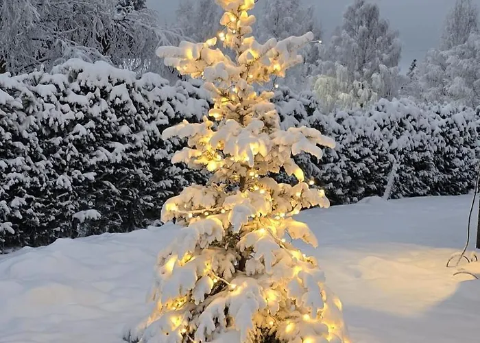 Arctic Circle Aurora Ροβανιέμι