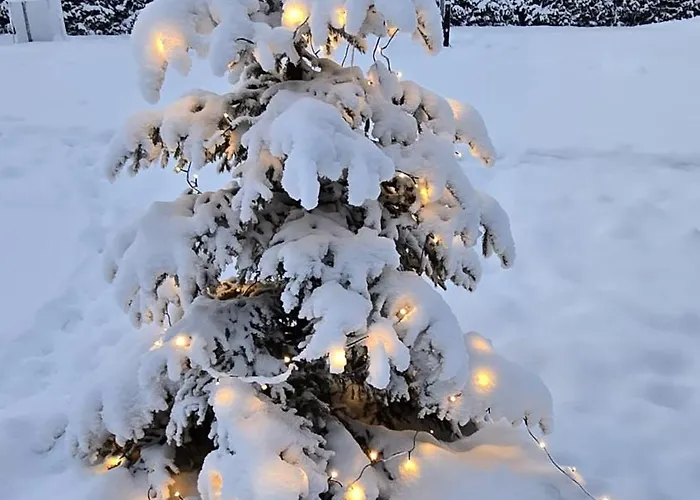 Arctic Circle Aurora *