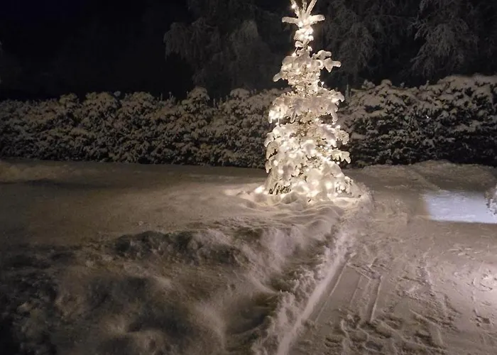 Arctic Circle Aurora דירה