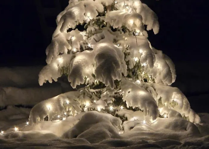 Arctic Circle Aurora דירה רובניימי