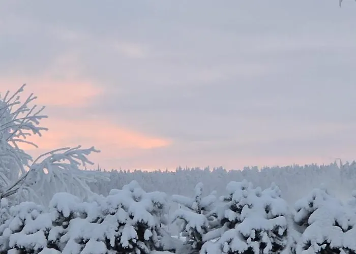 Arctic Circle Aurora * רובניימי