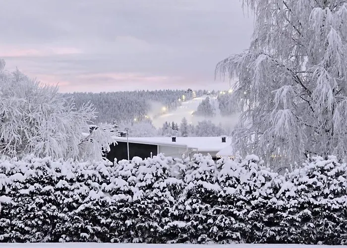 Arctic Circle Aurora