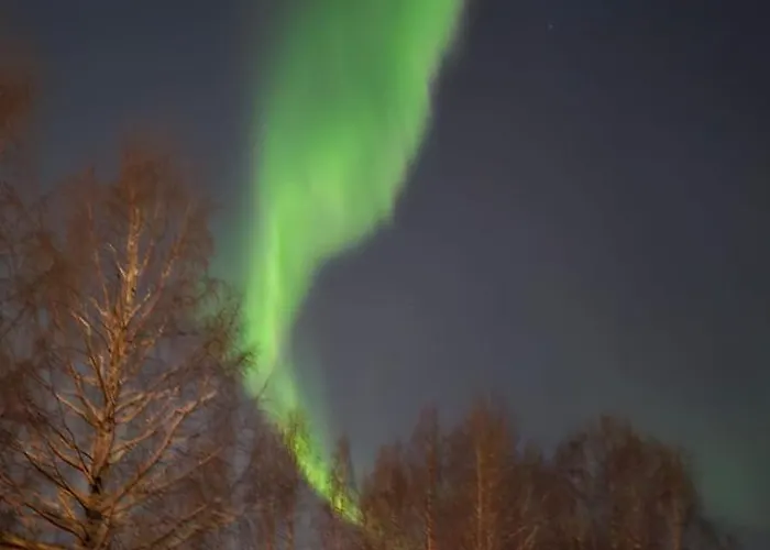 Arctic Circle Aurora